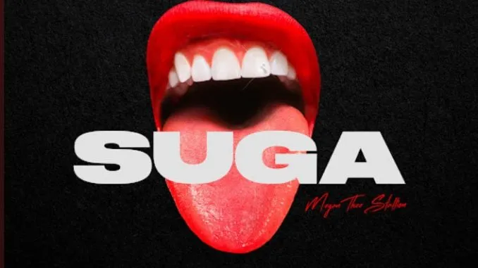 Megan Thee Stallion – Captain Hook